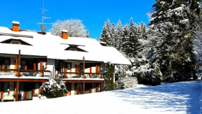 Michels Apartment Titisee-Neustadt